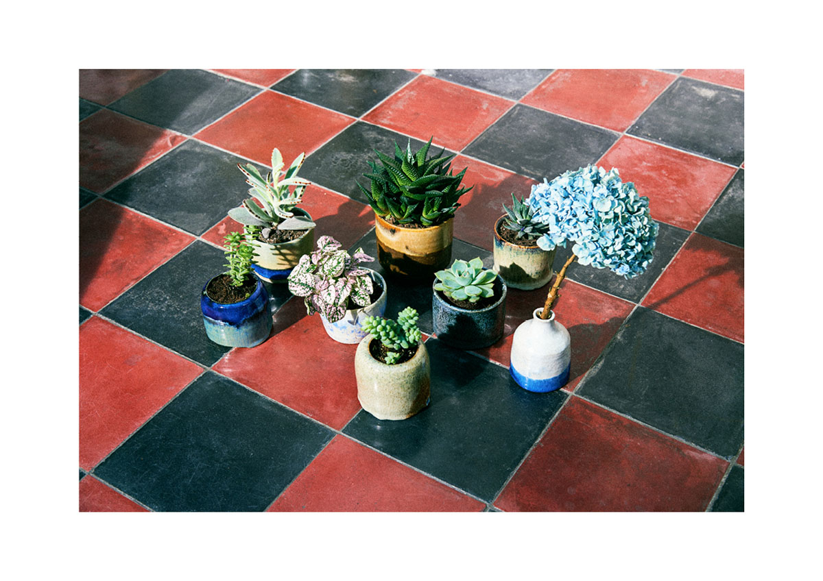 13-saintsauveur_lesbellesplantes_13